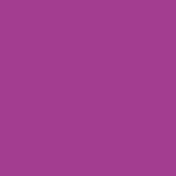 Load image into Gallery viewer, picture of purple shade color 