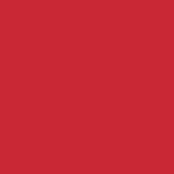 picture of a red shade color 